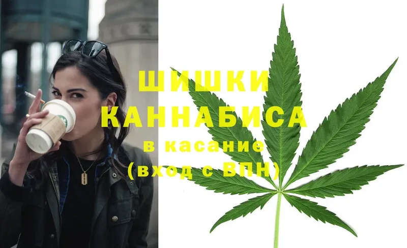 наркотики  Северск  mega вход  Бошки Шишки OG Kush 